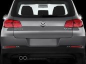 Bán Volkswagen Tiguan đời 2016, màu xám, nhập khẩu nguyên chiếc