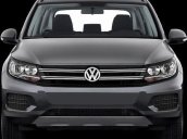 Bán Volkswagen Tiguan đời 2016, màu xám, nhập khẩu nguyên chiếc