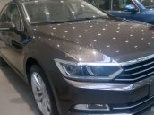 Xe Volkswagen Passat 1.8TSI GP Full Option, nhập khẩu Đức, siêu kinh điển châu Âu- LH 0915.999.363- Anh Trưởng