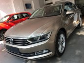 Xe VW-Volkswagen Passat vàng cát 1.8TSI- Cực nhanh, mạnh, bền bỉ - Giá tốt nhất Nam bộ - LH Phạm Trưởng 0915.999.363