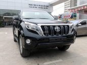 Toyota Land Cruiser Prado bạc 2017 - Cập nhật lô xe tháng 4 chào hè 2017 - Đại Lý Toyota Mỹ Đình/ hotline: 0973.306.136