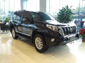 Toyota Land Cruiser Prado bạc 2017 - Cập nhật lô xe tháng 4 chào hè 2017 - Đại Lý Toyota Mỹ Đình/ hotline: 0973.306.136