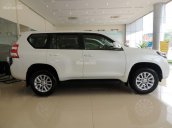 Toyota Prado trắng, nhập khẩu Nhật Bản - Cập nhật lô xe tháng 4/2017 - Đại lý Toyota Mỹ Đình/ hotline: 0973.306.136