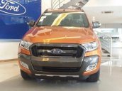 Bán xe Ford Ranger sản xuất 2017, xe mới, giá tốt
