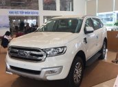 Bán Ford Everest 2.2L 4x2 Titanium AT đời 2017, màu đen, nhập khẩu nguyên chiếc