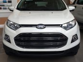 Bán Ford EcoSport Titanium 1.5P AT đời 2017, giá ưu đãi 608 triệu