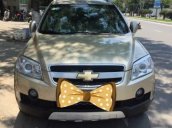 Cần bán lại xe Chevrolet Captiva LTZ năm 2008, màu vàng cát