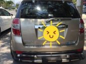 Cần bán lại xe Chevrolet Captiva LTZ năm 2008, màu vàng cát