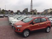 Bán xe Ford EcoSport 1.5P ​​Trend MT đời 2017, giá 545tr - LH: 0946 638383