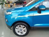 Xe Ecosport phiên bản đặc biệt, 600tr tặng bảo hiểm 2 chiều