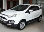 Bán Ford EcoSport Titanium 1.5AT đời 2017, màu trắng