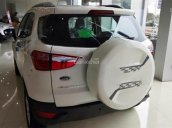 Bán Ford EcoSport đời 2017, xe mới