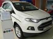 Bán Ford EcoSport đời 2017, xe mới