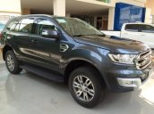 Bán ô tô Ford Everest đời 2017, màu xám