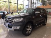 Bán ô tô Ford Everest đời 2017, màu xám