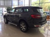 Bán ô tô Ford Everest đời 2017, màu xám