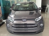 Ford Thủ Đô bán xe Ford EcoSport Titanium 1.5P AT sản xuất 2017, giá tốt nhất tại Hà Nam