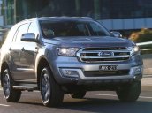 Cần bán xe Ford Everest 2.2L 4x2 Titanium AT đời 2017, màu xám (ghi), nhập khẩu nguyên chiếc