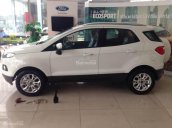 Ford thủ Đô bán xe Ford EcoSport Titanium 1.5P AT sản xuất 2017, nhiều màu, giá tốt nhất tại Thái Nguyên