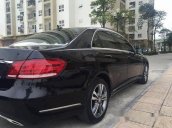 Cần bán gấp Mercedes E250 đời 2015, màu đen, xe nhập
