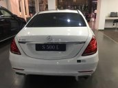 Cần bán xe Mercedes S500 năm 2017, màu trắng, nhập khẩu nguyên chiếc