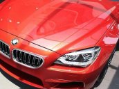 Cần bán BMW M6 Sport đời 2017, màu đỏ 