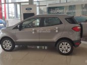 Ford Ecosport Titanium 1.5L 2017, giá 600 triệu, hỗ trợ vay 80%, xe đủ màu giao ngay