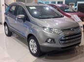 Ford Ecosport Titanium 1.5L 2017, giá 600 triệu, hỗ trợ vay 80%, xe đủ màu giao ngay