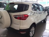 Ford Ecosport Titanium 2017 - chính sách giá hot nhất HCM‎