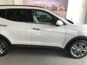 Bán xe Hyundai Santa Fe đời 2017, giá tốt