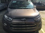 Cần bán Ford EcoSport AT đời 2017, mới 100%