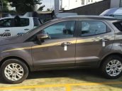 Cần bán Ford EcoSport AT đời 2017, mới 100%