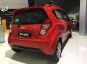 Bán Chevrolet Spark LS đời 2017, màu đỏ, 339 triệu