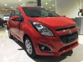 Bán Chevrolet Spark LS đời 2017, màu đỏ, 339 triệu