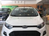 Bán xe Ford EcoSport Black Edition năm 2017, xe mới 100%