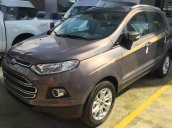 Cần bán Ford EcoSport AT đời 2017, mới 100%