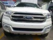 Bán xe Ford Everest 2.2AT 2017, giá tốt