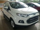 Bán xe Ford EcoSport 1.5L 2017 mới, giá tốt