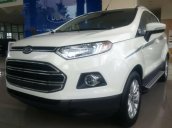 Bán xe Ford EcoSport 1.5L 2017 mới, giá tốt