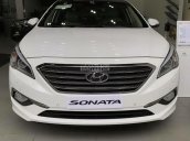 Cần bán Hyundai Sonata 2.0AT năm 2017, màu trắng, nhập khẩu nguyên chiếc