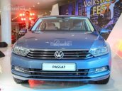 Cần bán Volkswagen Passat, màu xanh lam, nhập khẩu Đức, tặng BHVC+ dán 3M. LH Hương: 0902.608.293