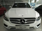 Cần bán xe Mercedes GLC250 4Matic 2017, màu trắng nội thất nâu, giao ngay