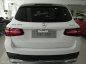 Cần bán xe Mercedes GLC250 4Matic 2017, màu trắng nội thất nâu, giao ngay