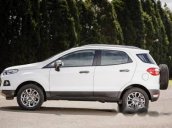 Bán ô tô Ford EcoSport Titanium 1.5l AT năm 2017, màu trắng, giá chỉ 590 triệu