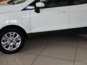 Bán ô tô Ford EcoSport Titanium 1.5l AT năm 2017, màu trắng, giá chỉ 590 triệu