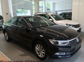 Passat E Volkswagen màu nâu, đen - Xe nhập - Giá tốt LH Quang Long 0933689294