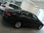 Passat E Volkswagen màu nâu, đen - Xe nhập - Giá tốt LH Quang Long 0933689294