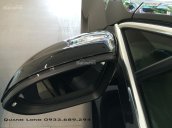 Passat E Volkswagen màu nâu, đen - Xe nhập - Giá tốt LH Quang Long 0933689294