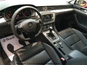 Passat E Volkswagen màu nâu, đen - Xe nhập - Giá tốt LH Quang Long 0933689294