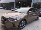 Bán Hyundai Elantra đời 2017 - Màu vàng cát